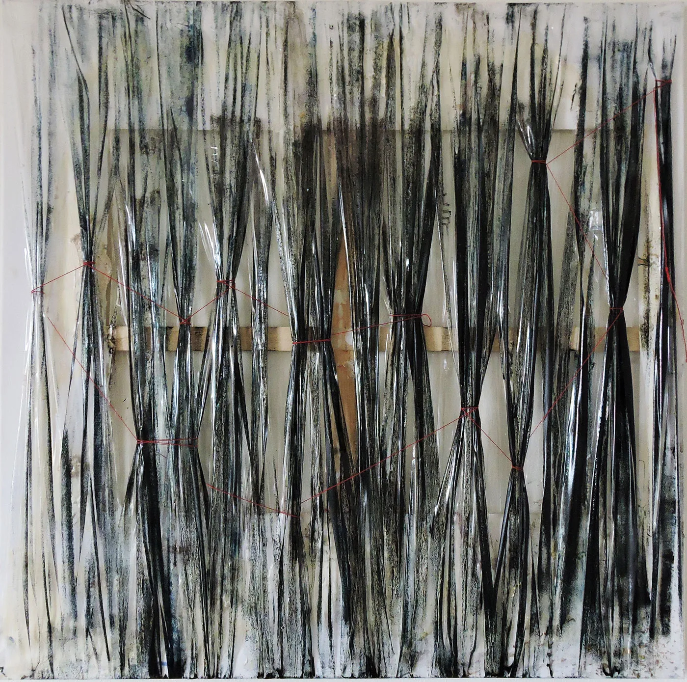 « Tasma » 2016